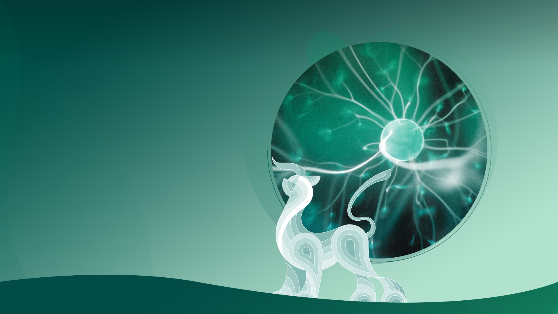 上海一线品质网站建设服务商<br />品牌数字化策略——赋能企业影响力提升